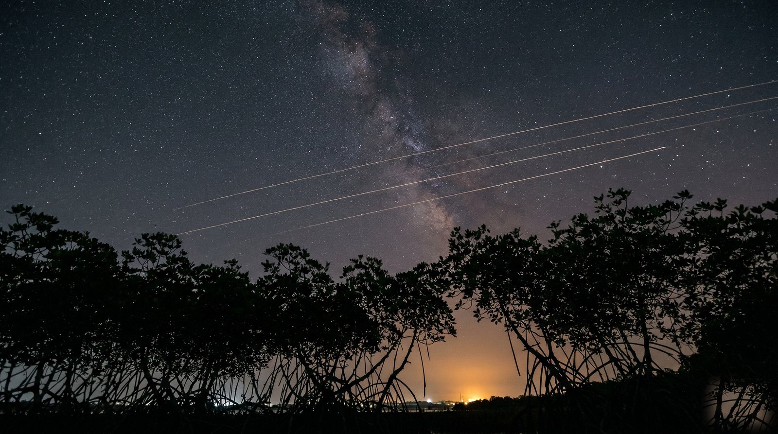 Night sky over Niger Delta mangroves with satellite trails streaking across the Milky Way